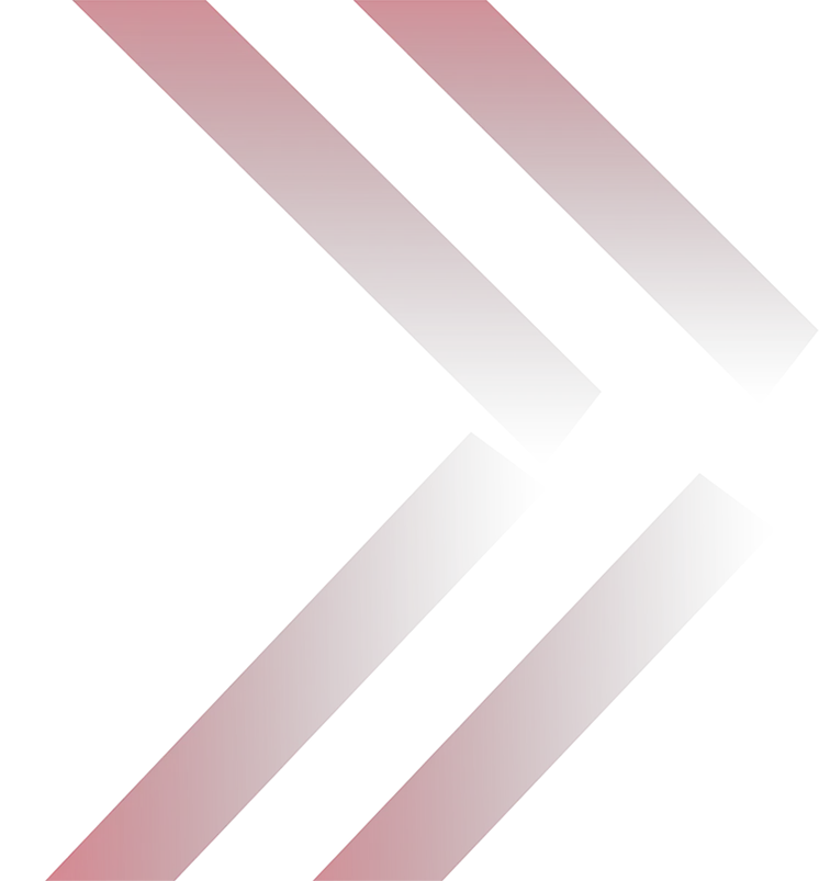Bullet Direito